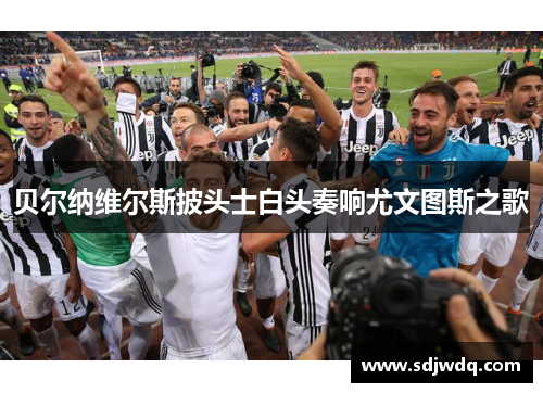 贝尔纳维尔斯披头士白头奏响尤文图斯之歌